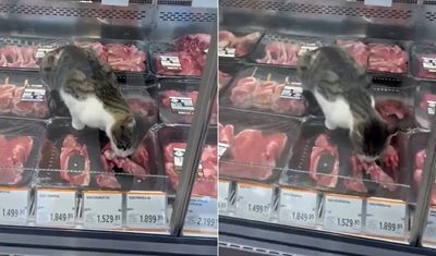 Marketin kasap reyonunda ilginç görüntüler