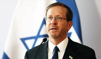 Herzog’dan erken seçimden kaçınma çağrısı