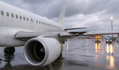 İstanbul'dan kalkan uçak kuş sürüsüne çarptı